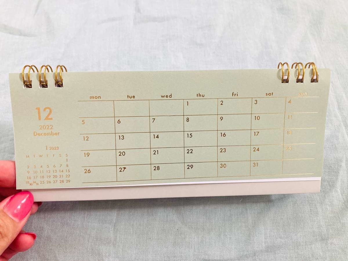 これ110円はやりすぎ 泣 セリア 2店はしご 超ミニがきてる 最新カレンダーbest5 ヨムーノ