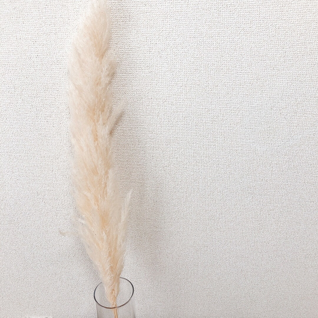 悲報 もう再入荷ないかも ニトリ 1年待ってました まるで本物 高見えドライアイテム3選 ヨムーノ 悲報 もう再入荷ないかも ニトリ 1年待ってました まるで本物 高見えドライアイテム3選 ヨムーノ