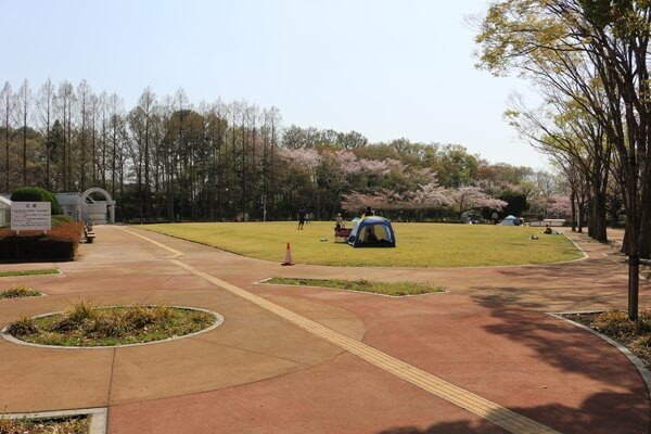埼玉県のアスレチック公園まとめ 実際に遊んできたよ