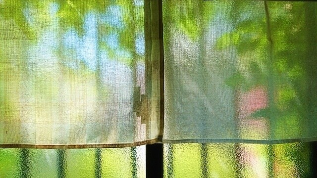 夏は涼しく過ごしたい まるで自然のエアコン グリーンカーテン の作り方とおすすめ植物 くふうlive