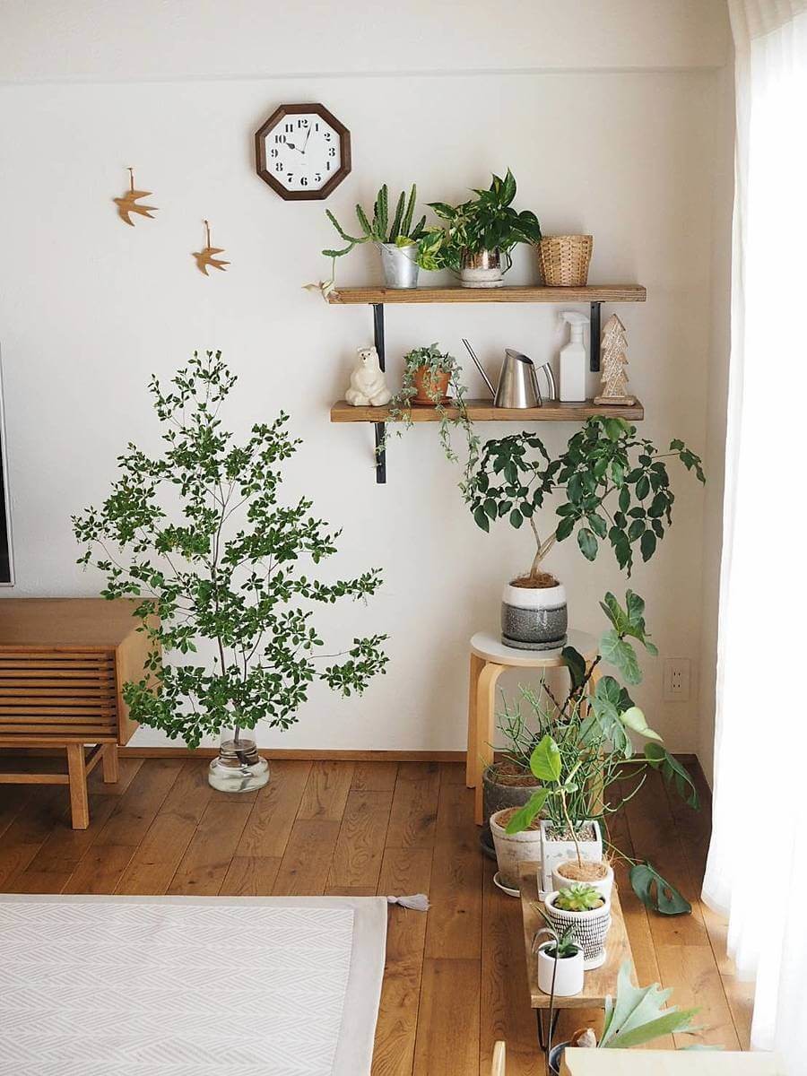 観葉植物は壁に飾る アイアンとブラケットで簡易diy ヨムーノ