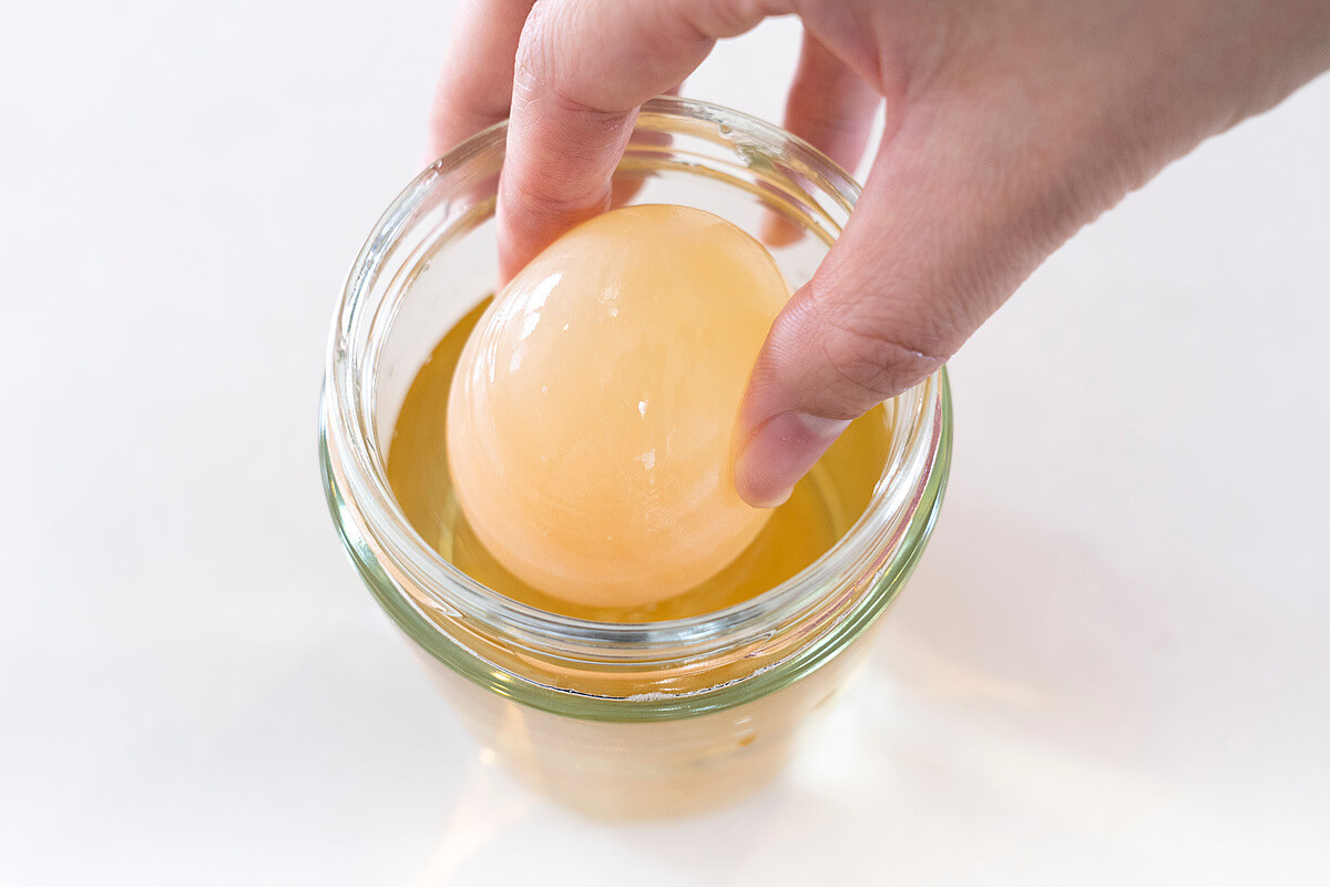 卵 を お 酢 に つける 自由 研究
