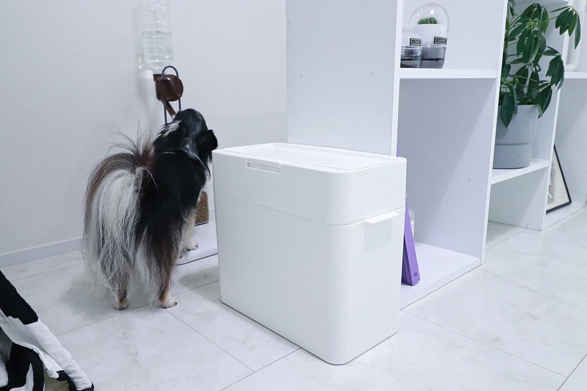 少しの工夫ですぐできる 愛犬チワワのトイレをオシャレに魅せるインテリア術 ヨムーノ