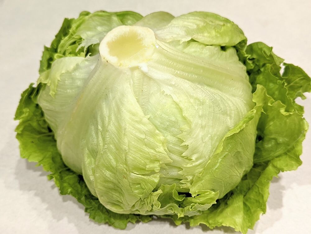 お願い 野菜室に入れないで スーパー青果部直伝 レタスが長持ち 保存裏ワザ 知らないと損まとめ ヨムーノ