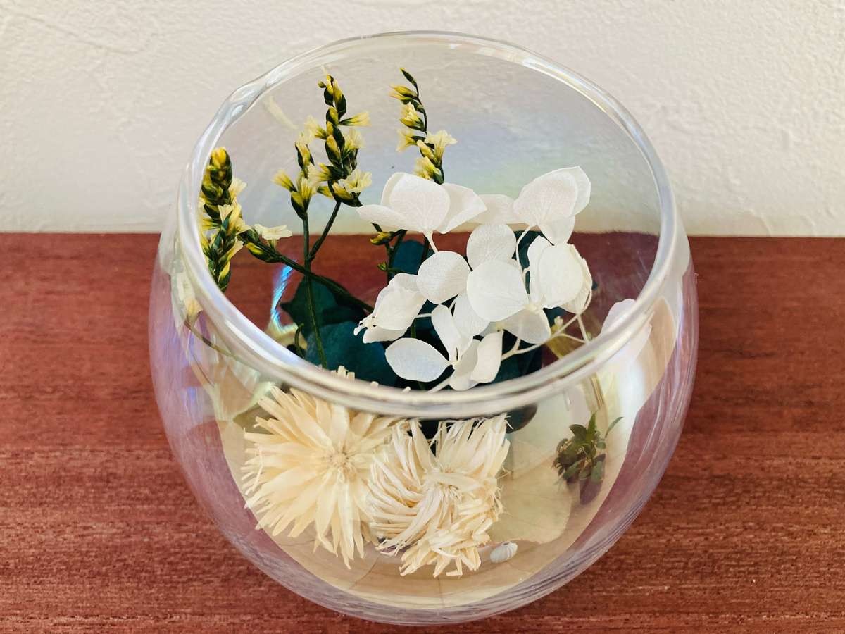 やっちまった 泣 キャンドゥ 猛烈に売れまくってる 汚トイレの女神降臨 ヒット3選 ヨムーノ