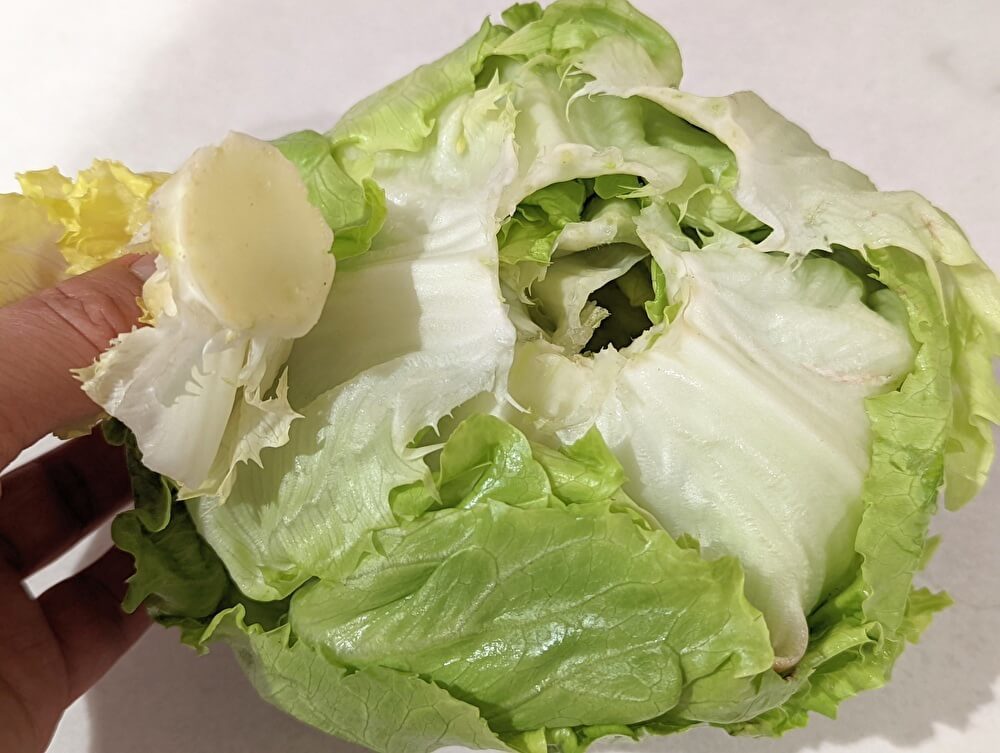 腐らせないために野菜室で保存 はダメ 青果部が教える 値上げに負けない 野菜が高いときの裏技 3選 ヨムーノ