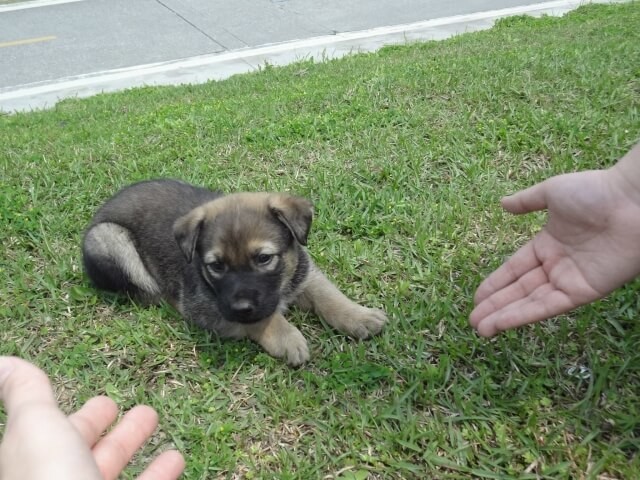 Echvqcprfslkkm Echvqcprfslkkm