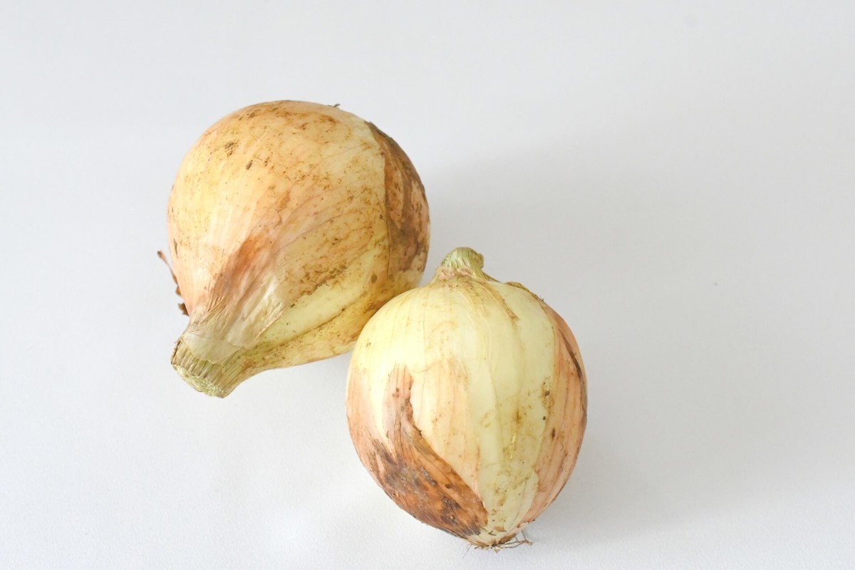 タマネギ大神様専用 Www Vetrepro Fr