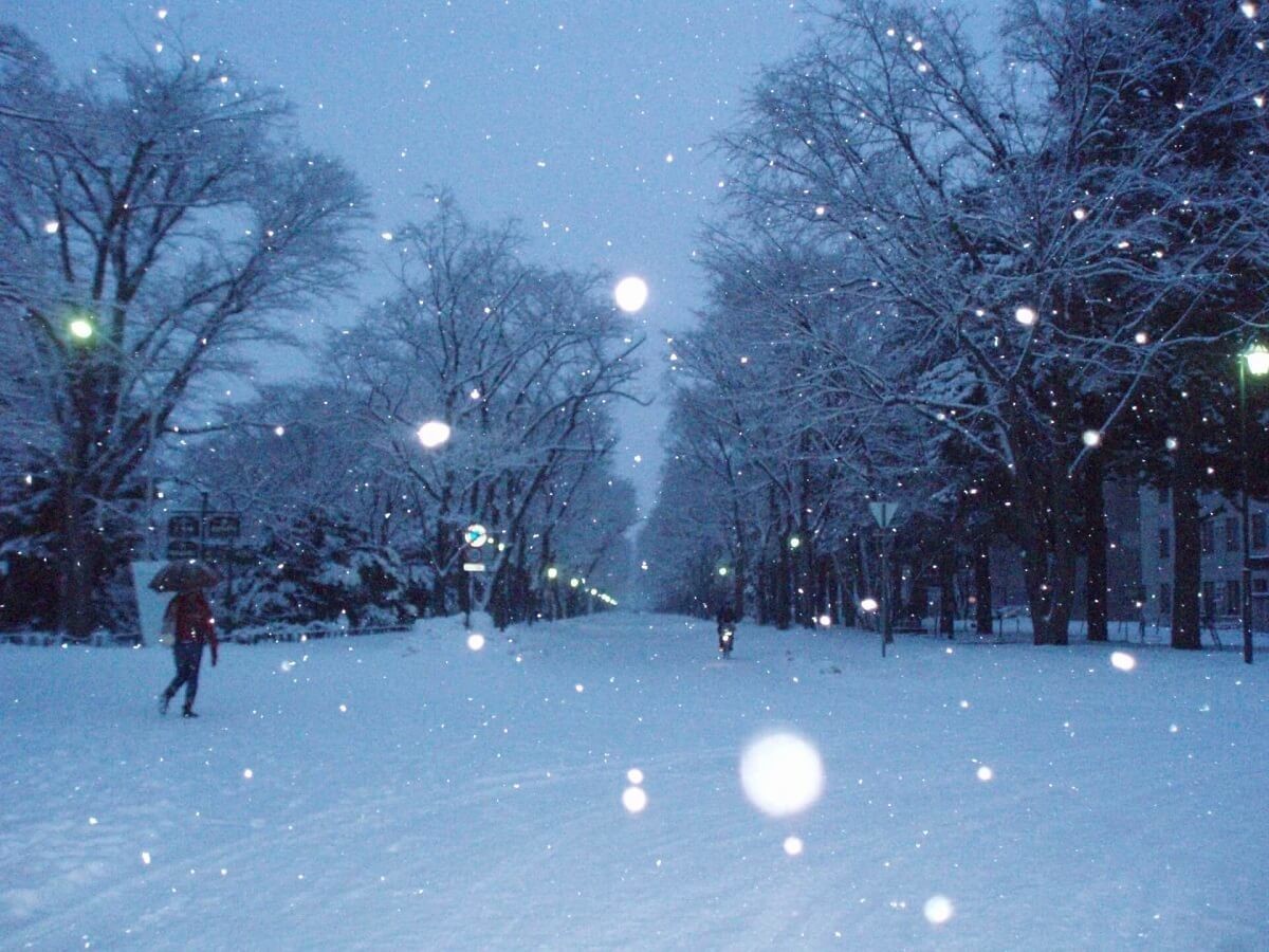 大寒 二十四節気 とは 由来や旬の食べ物を紹介 22年はいつの時期 ヨムーノ 大寒 二十四節気 とは 由来や旬の食べ物を紹介 22年はいつの時期 ヨムーノ