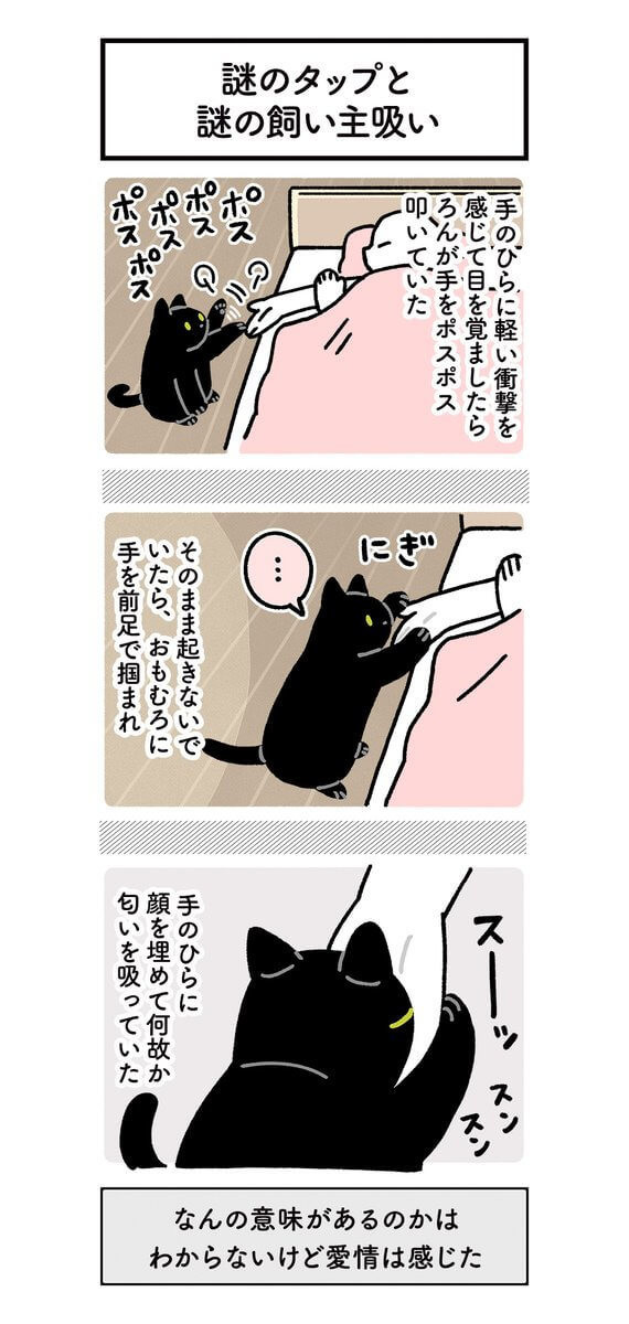 猫漫画 う うらやましすぎ 黒猫ろんのプリンセス起こしに思わず嫉妬 本当にあった癒やされ体験 ヨムーノ