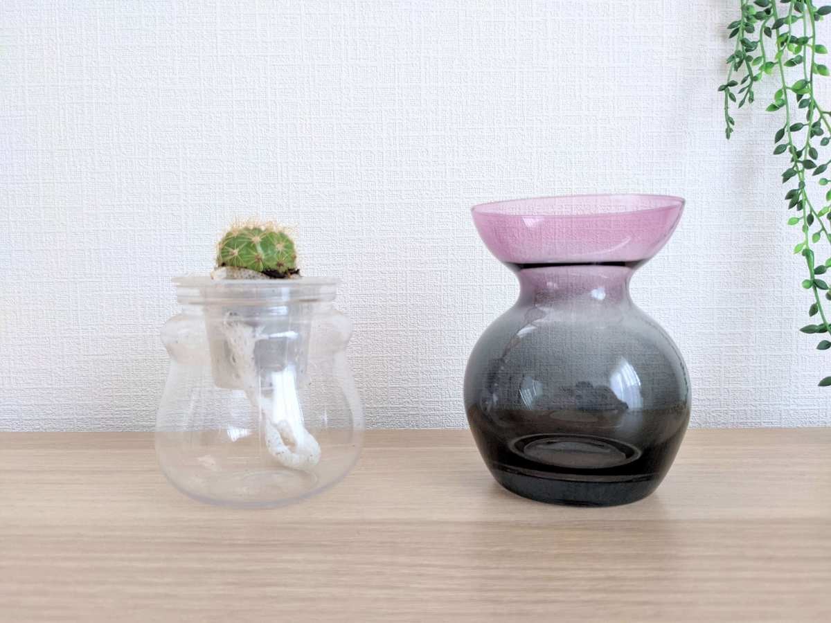 大ブームの予感 3coins 水耕栽培用ガラスベース 欠品相次ぐ人気ぶり 栽培始めました 簡単すぎて感涙 ヨムーノ 大ブームの予感 3coins 水耕栽培用ガラスベース 欠品相次ぐ人気ぶり 栽培始めました 簡単すぎて感涙 ヨムーノ