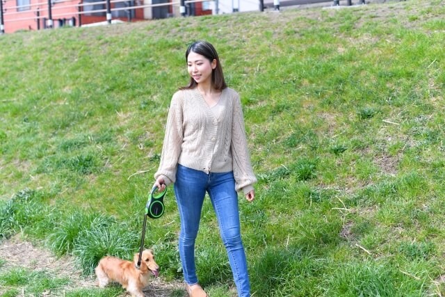 夢占い 犬の出てくる夢の意味は 犬の色 大きさなどシーン別40選 ヨムーノ