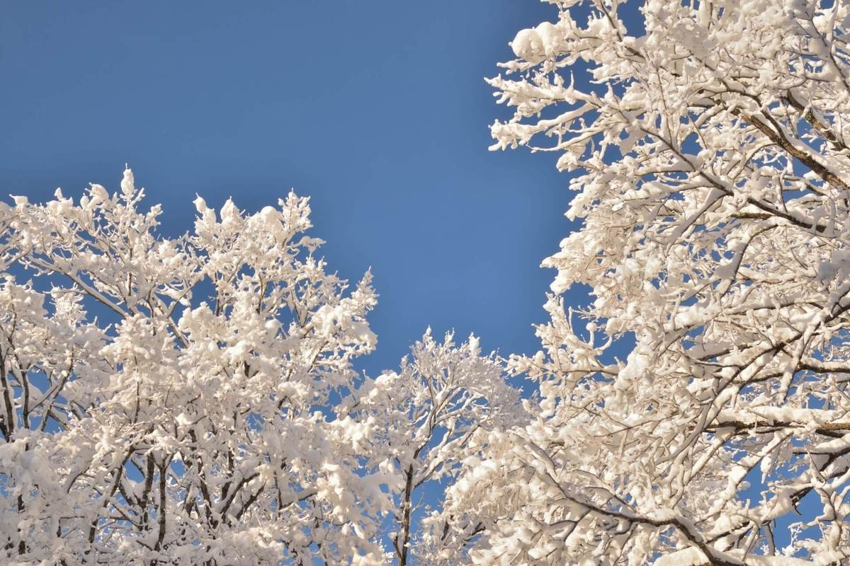 大寒 二十四節気 とは 由来や旬の食べ物を紹介 22年はいつの時期 ヨムーノ