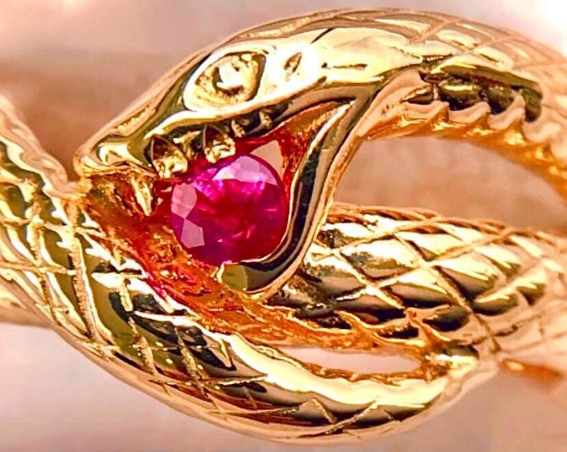 蛇の夢占い 大きさや色 行動別の意味40選 ヨムーノ 蛇の夢占い 大きさや色 行動別の意味40選 ヨムーノ