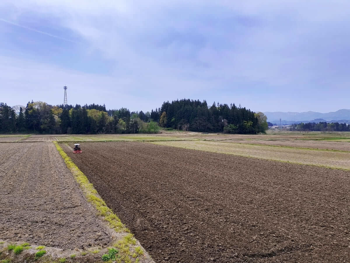 農地を個人で借りるにはどうすればいい？農地の探し方や借りるときの 