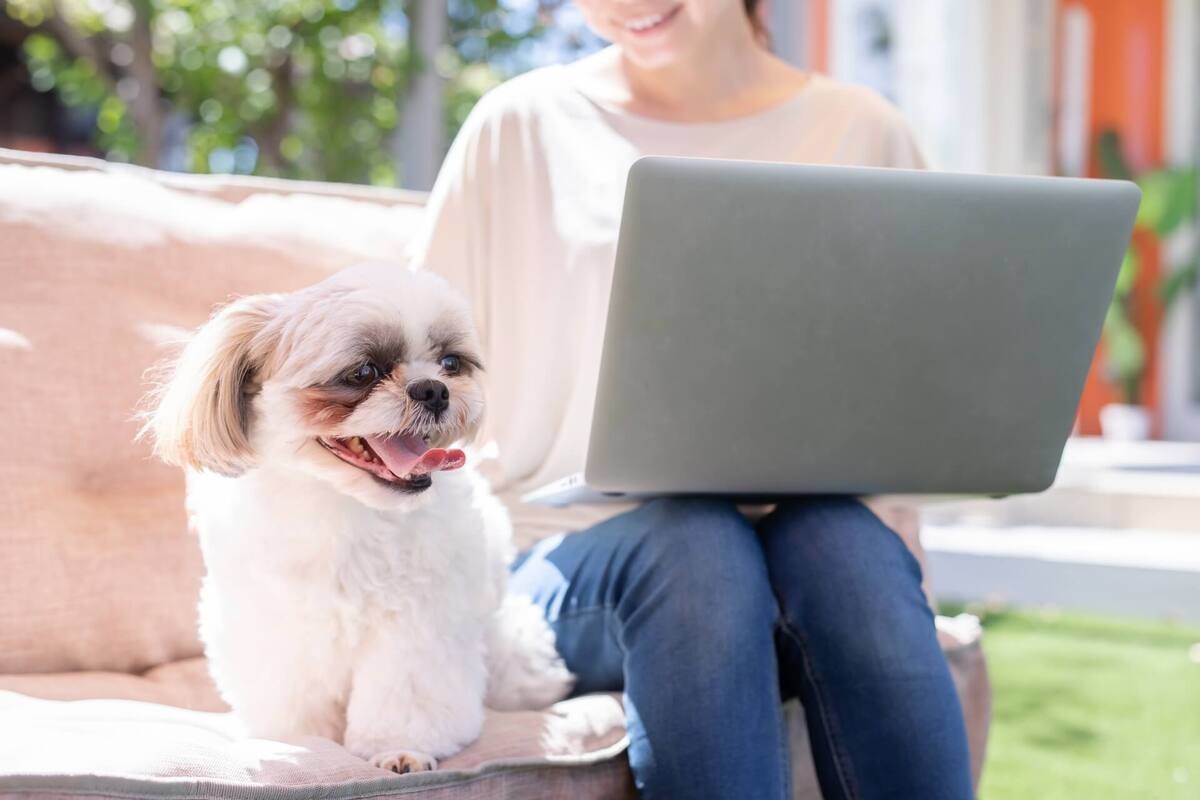 ストア 貸主の承諾なしにペットを飼育