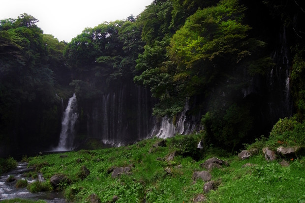 静岡