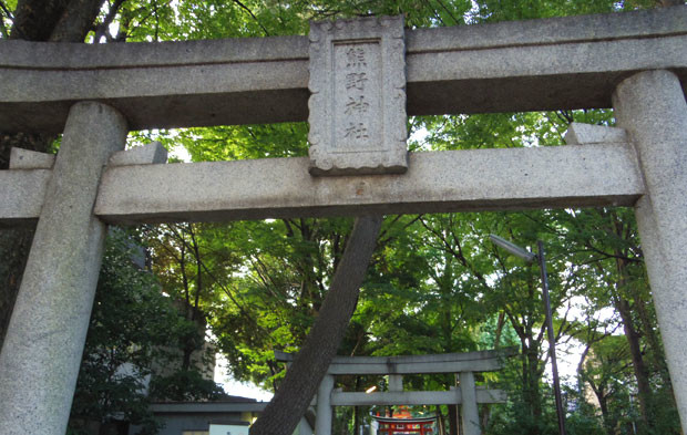 自由が丘 熊野神社訪問 神社からその街が見える 1
