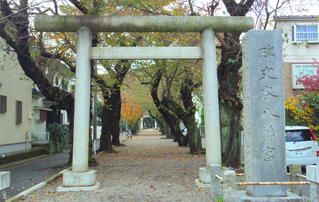 学芸大学 碑文谷八幡宮訪問 神社からその街が見える 4