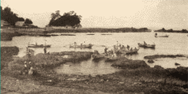 大正時代のアロエの里周辺：当時の天草漁の様子