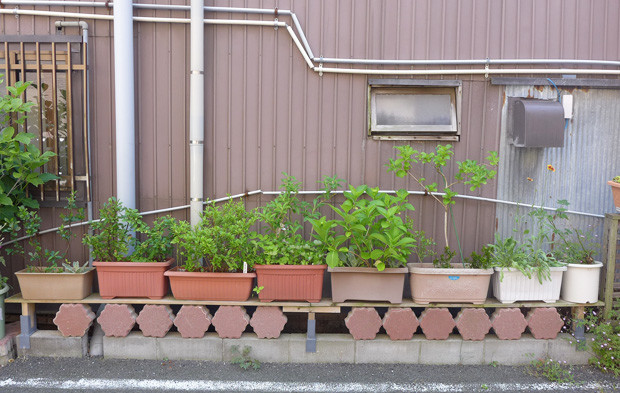 路上園芸 配置の美学