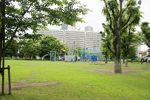 黎明橋公園 遊具