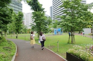 黎明橋公園 小道