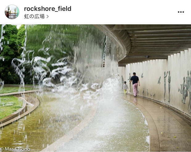 rockshore_field