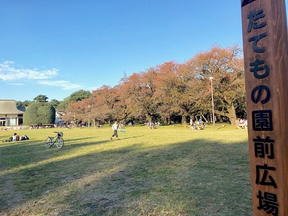 おすすめ】東京都内のアスレチック公園まとめ