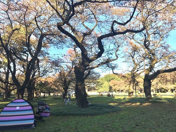 東京都立小金井公園