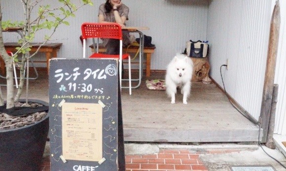京王線 芦花公園駅 に改名して正解だった 駅開設時は上高井戸駅だった