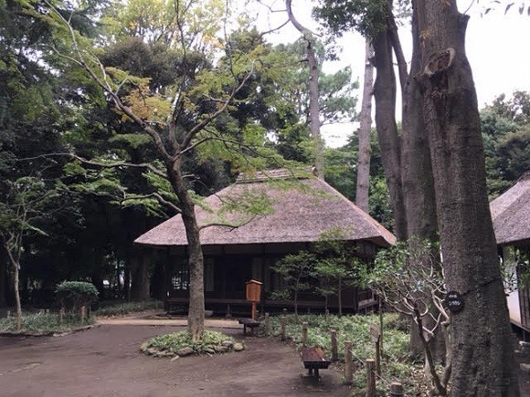 京王線 芦花公園駅 に改名して正解だった 駅開設時は上高井戸駅だった