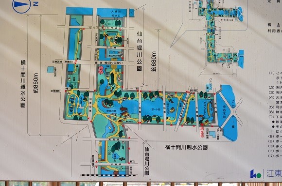 横十間川親水公園