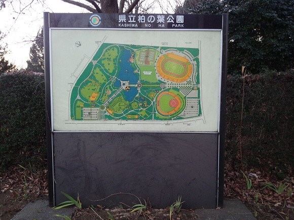 ららぽーとも徒歩圏内で買い物便利 柏の葉キャンパスの子育て環境と住みやすさ