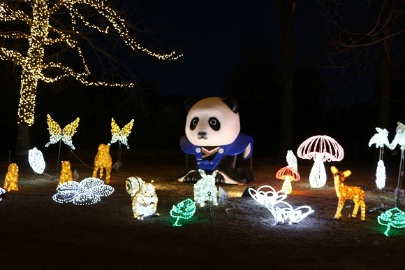 埼玉県森林公園のスターライトイルミネーションは1月8日迄