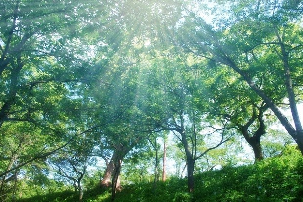 Kitakyushushiyahatanishiku01