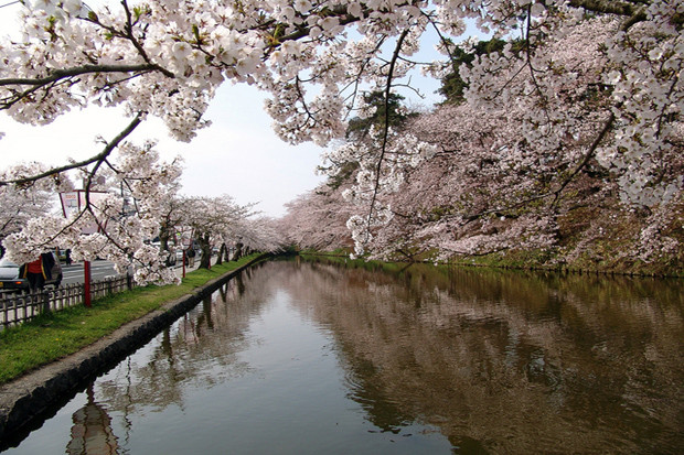 Komakishi01