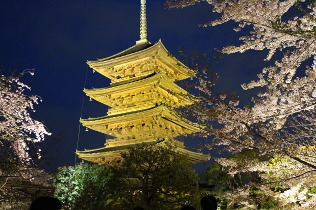 Kyotoshiminamiku01