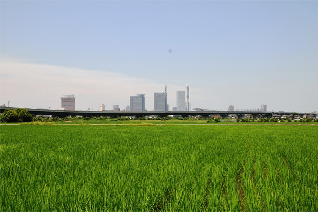Saitamashikitaku01