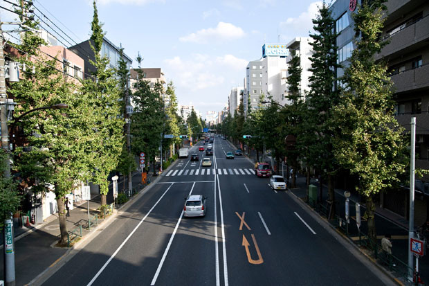 Suginamiku01